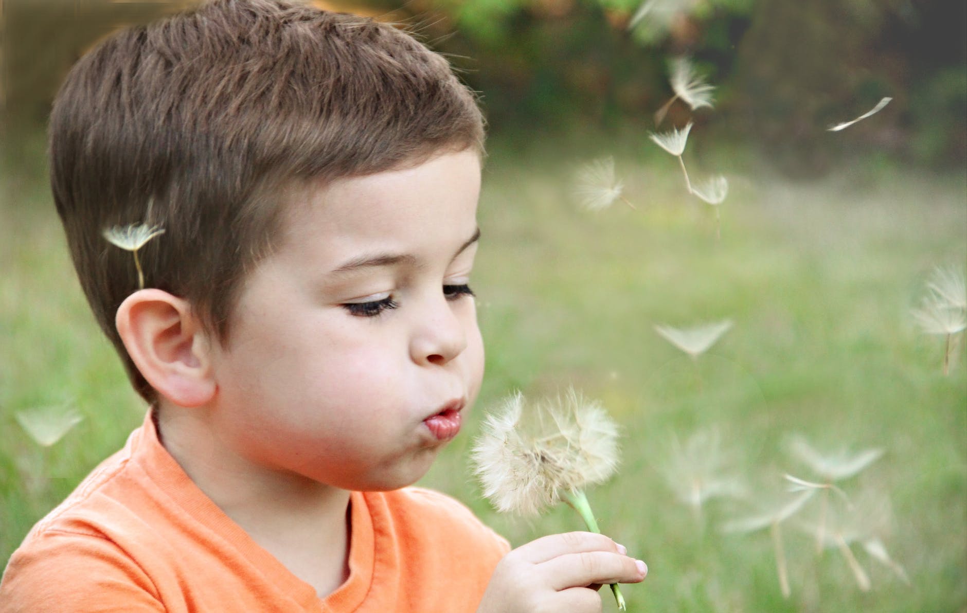 MKE Therapy boy blowing on dandelion